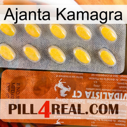 Ajanta Kamagra 42